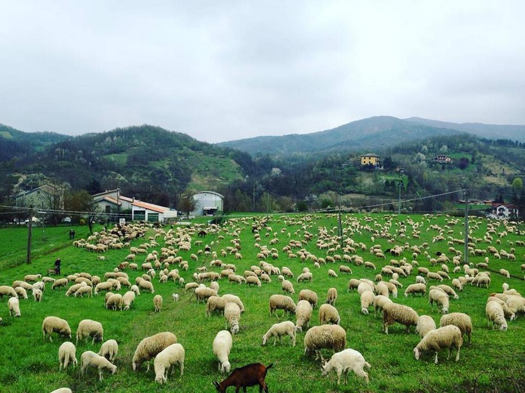 B&B Cascina Santa غافي المظهر الخارجي الصورة