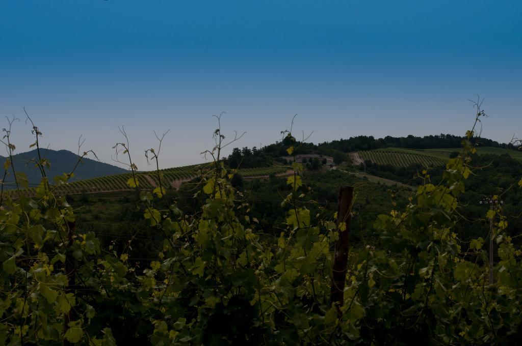 B&B Cascina Santa غافي المظهر الخارجي الصورة