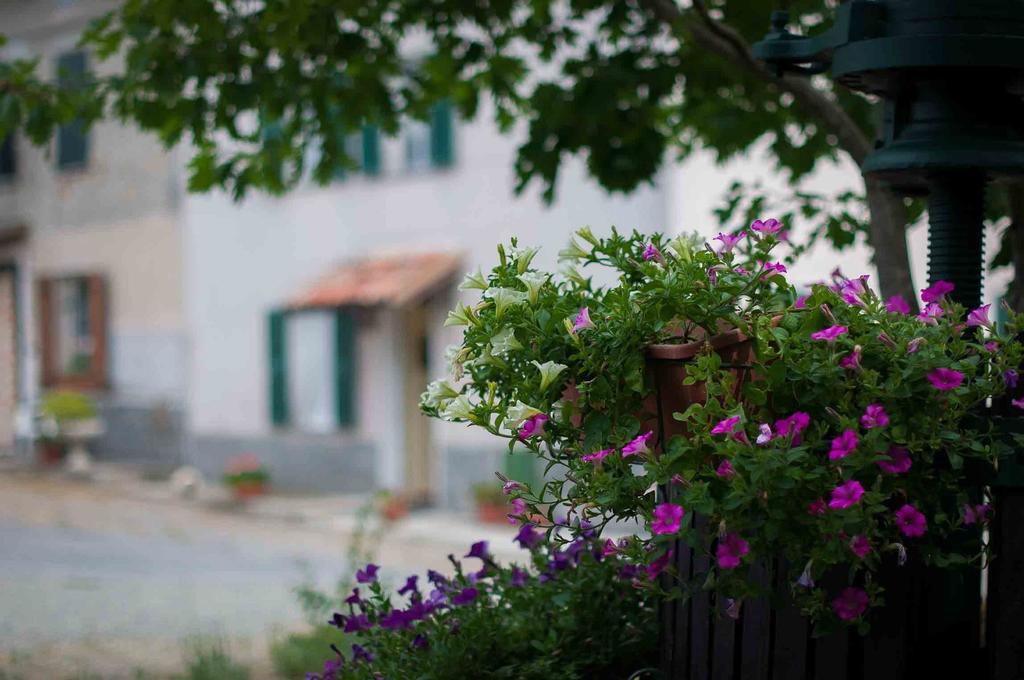 B&B Cascina Santa غافي المظهر الخارجي الصورة