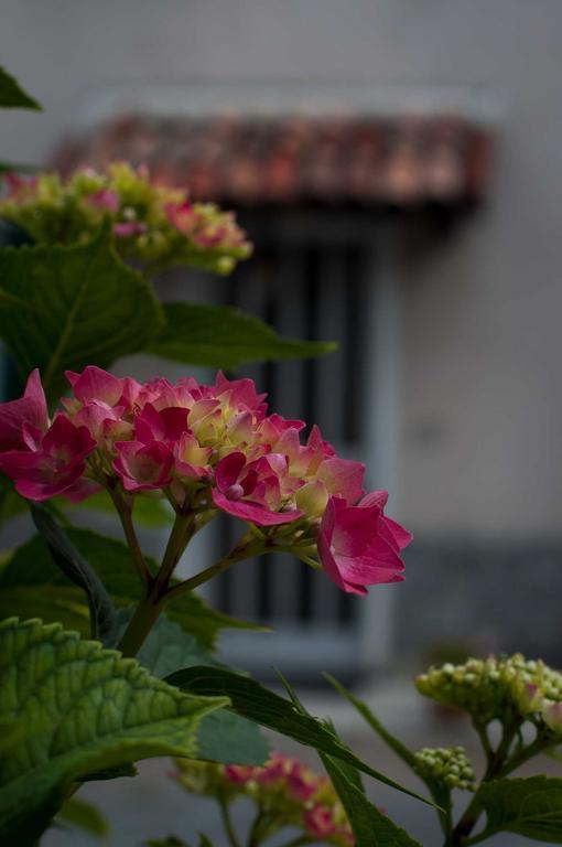 B&B Cascina Santa غافي المظهر الخارجي الصورة